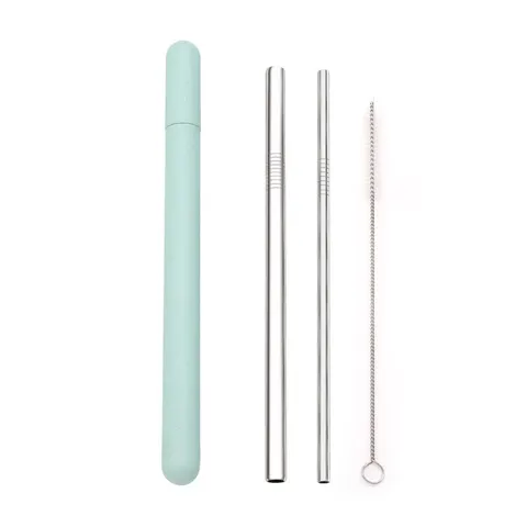 Reusable Stainless Steel Drinking Straws - 3 Piece Set in Tube