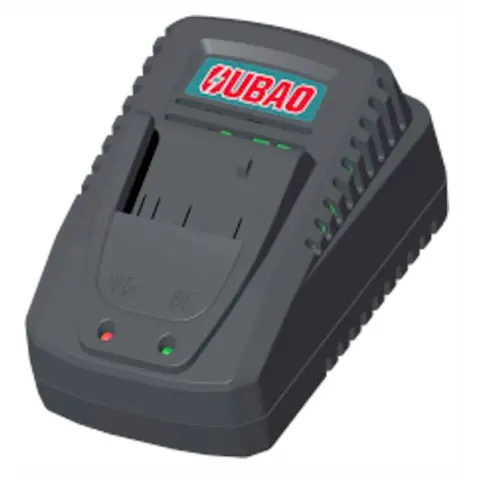 CD2002 - 20V charger - 100-240V - Oubao